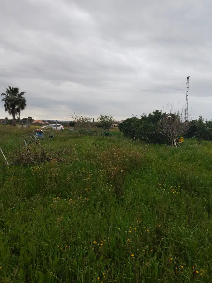 Terreno rustico in vendita a Alcalá del Río, imagen 6
