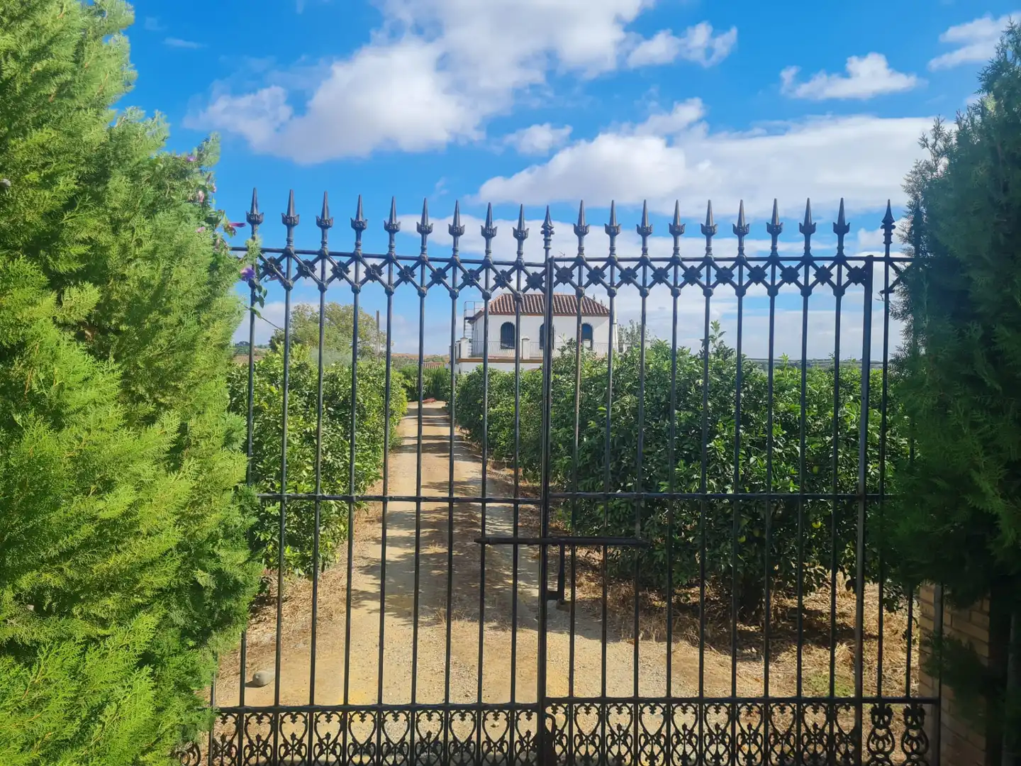 Außenansicht von Country house zum Verkauf in Cantillana mit Privatgarten, Terrasse und Schwimmbad