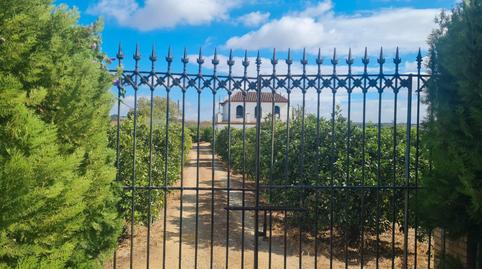 Foto 2 de Finca rústica en venda a Extrarradio Diseminados, 63, Cantillana, Sevilla