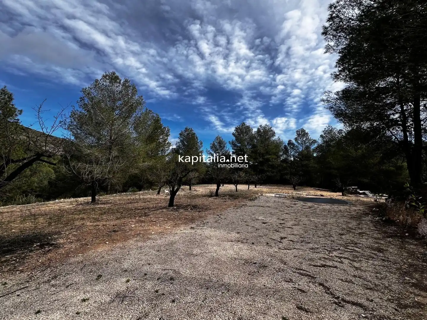 Terreny rústic en venda a L'Olleria, imagen 2