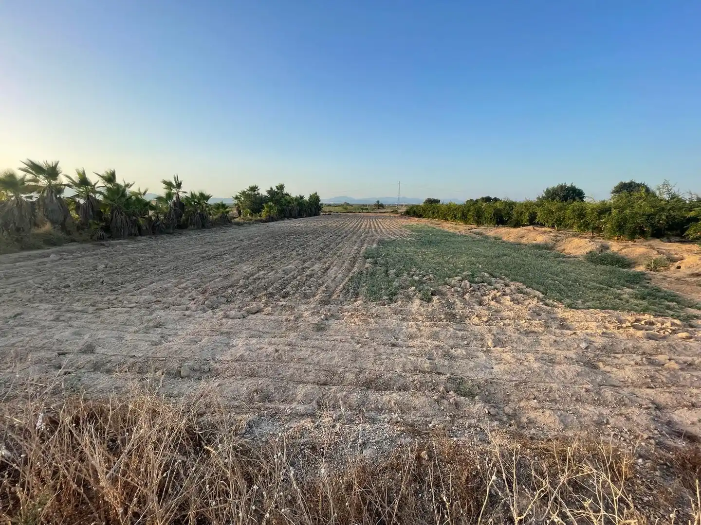 Terrain rustique à vendre à La Foia - Daimés - Asprella, imagen 9