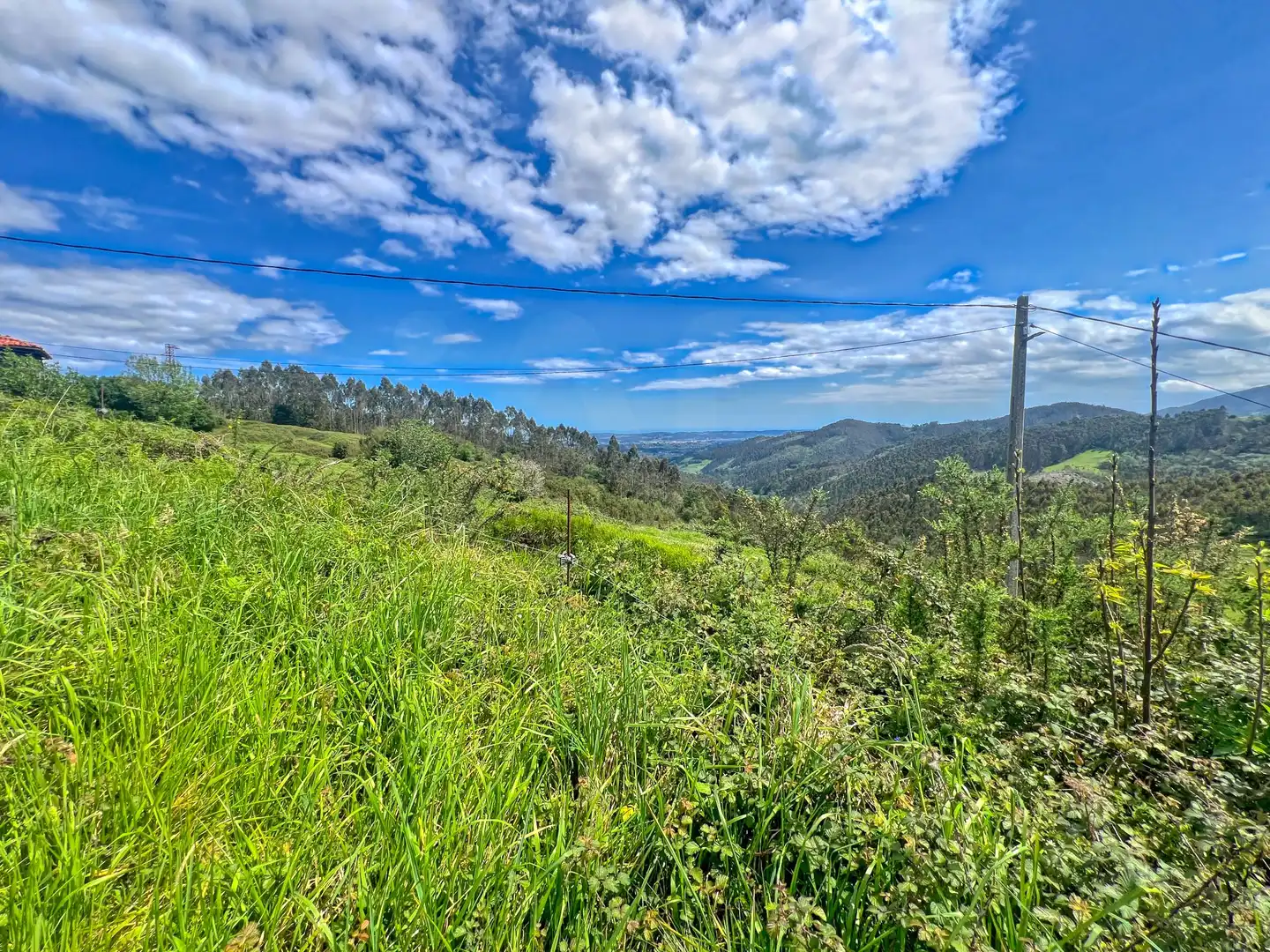 Lands and plots for sale in Pillarno, imagen 20