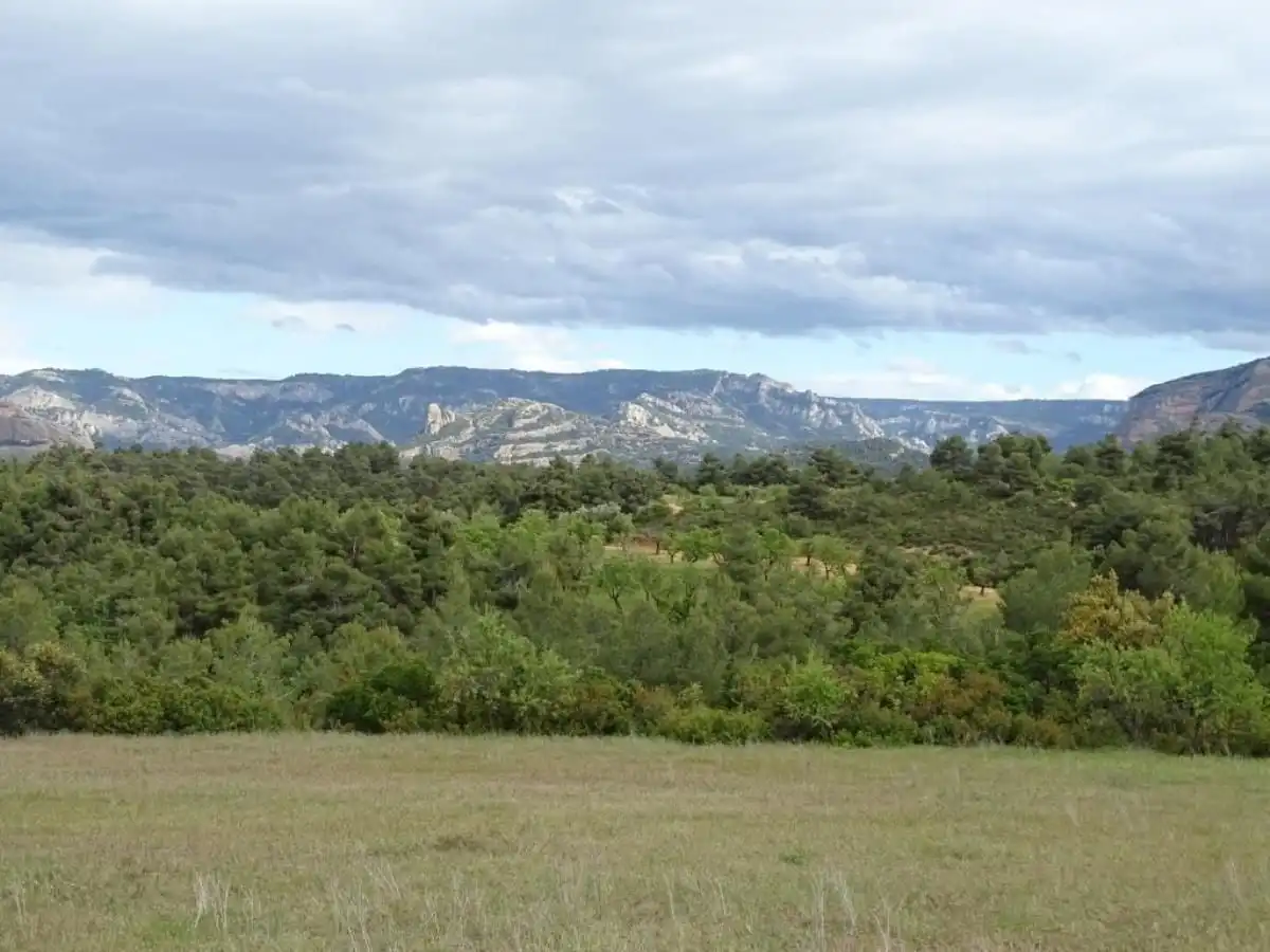 Finca rústica en venta en Cretas