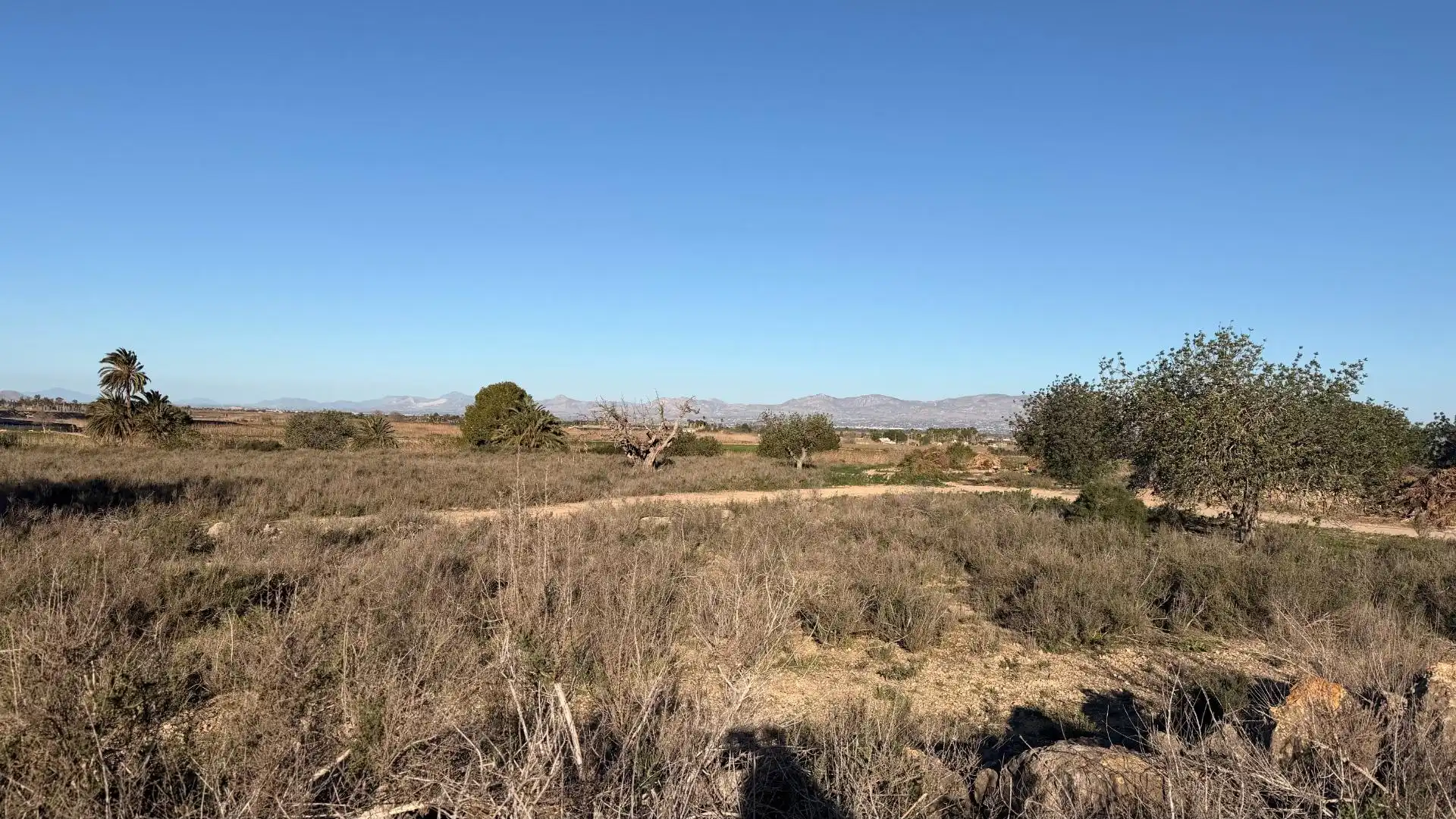 Terreno residencial en venta en La Marina, imagen 3