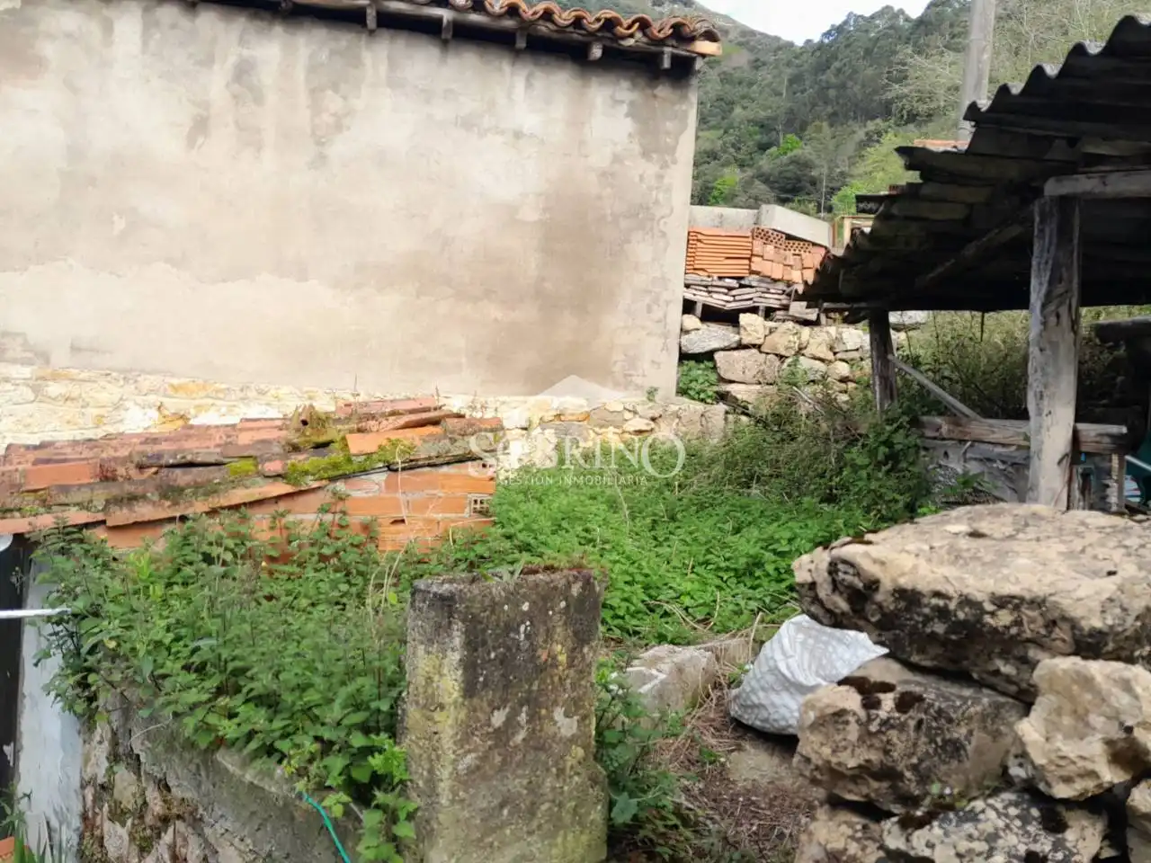 Casa o chalet en venta en Peñamellera Baja con Jardín privado