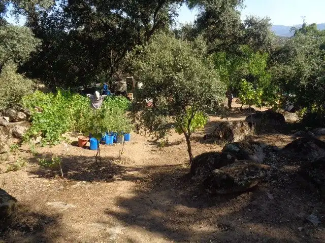 Jardí de Casa o xalet en venda en Cervera de los Montes amb Jardí privat, Traster i Piscina