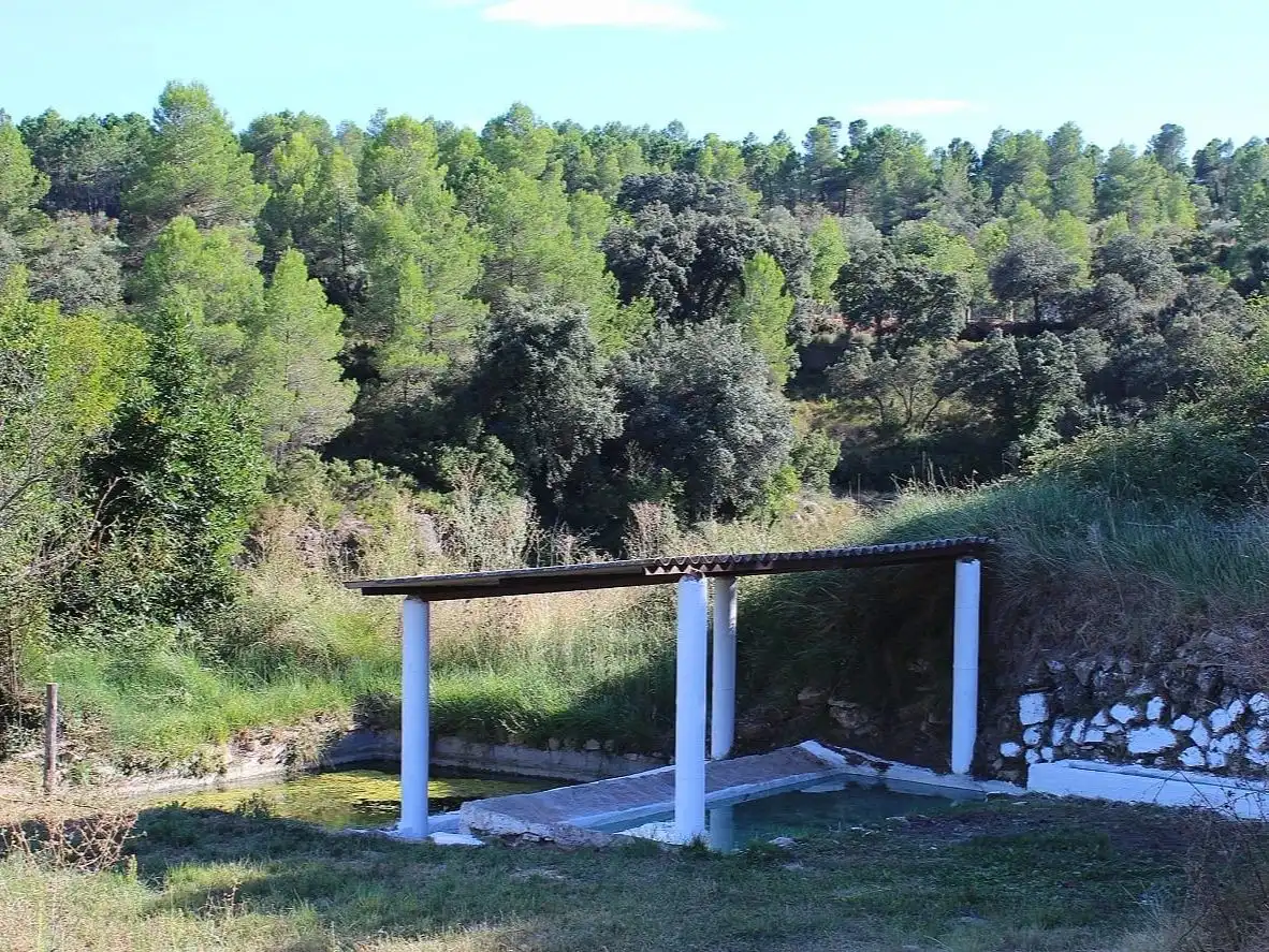 Garden of Country homes for sale in Enguera
