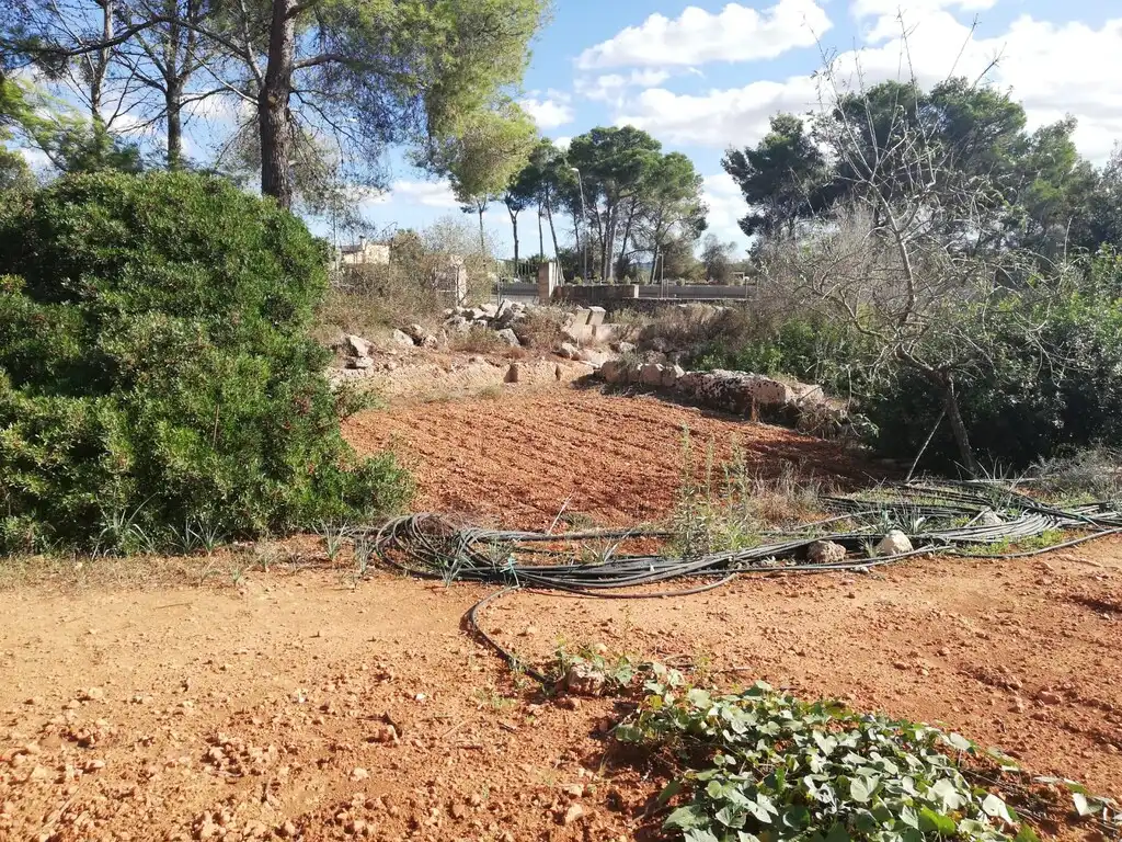Terreno rustico in vendita a Algaida, imagen 2