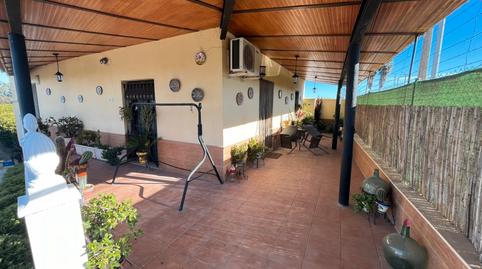 Foto 2 de Finca rústica en venda a Palma del Río, Córdoba