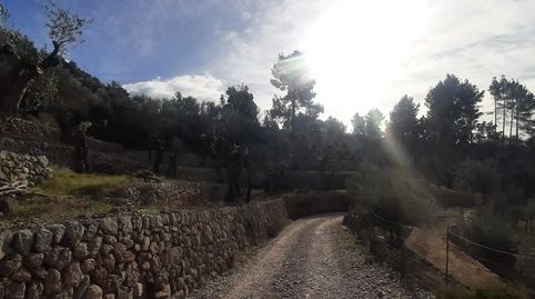 Photo 5 of Land for sale in Diseminado Sector Numero 1, 14, Fornalutx, Illes Balears