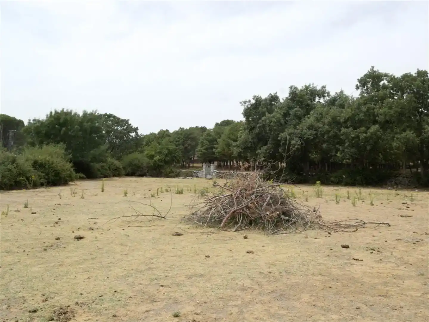 Land for sale in Iglesia - Estación