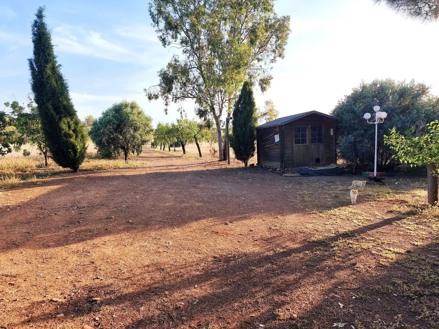 Maison à vendre à Área Rural-Valverde-Las Casas, imagen 17