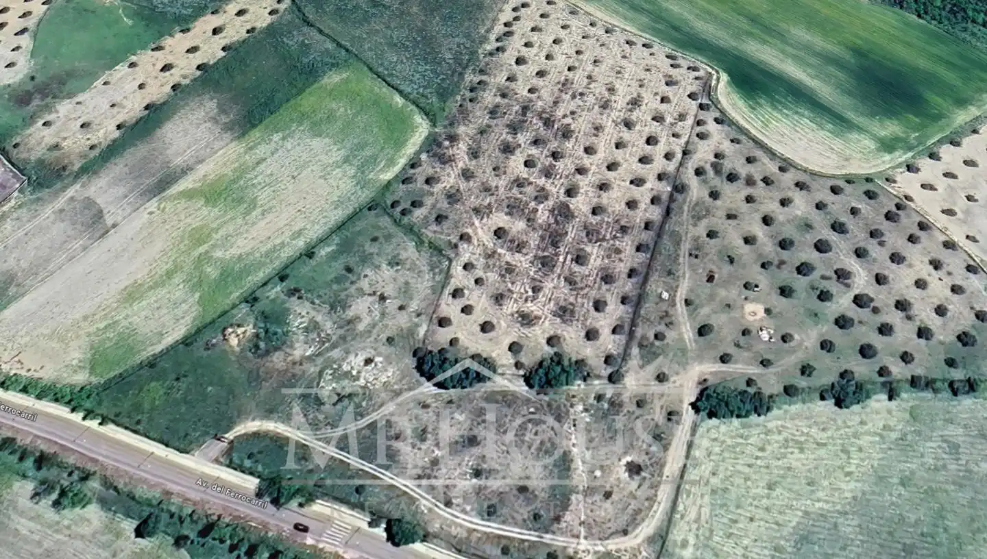 Terreny rústic en venda a Yeles, imagen 4