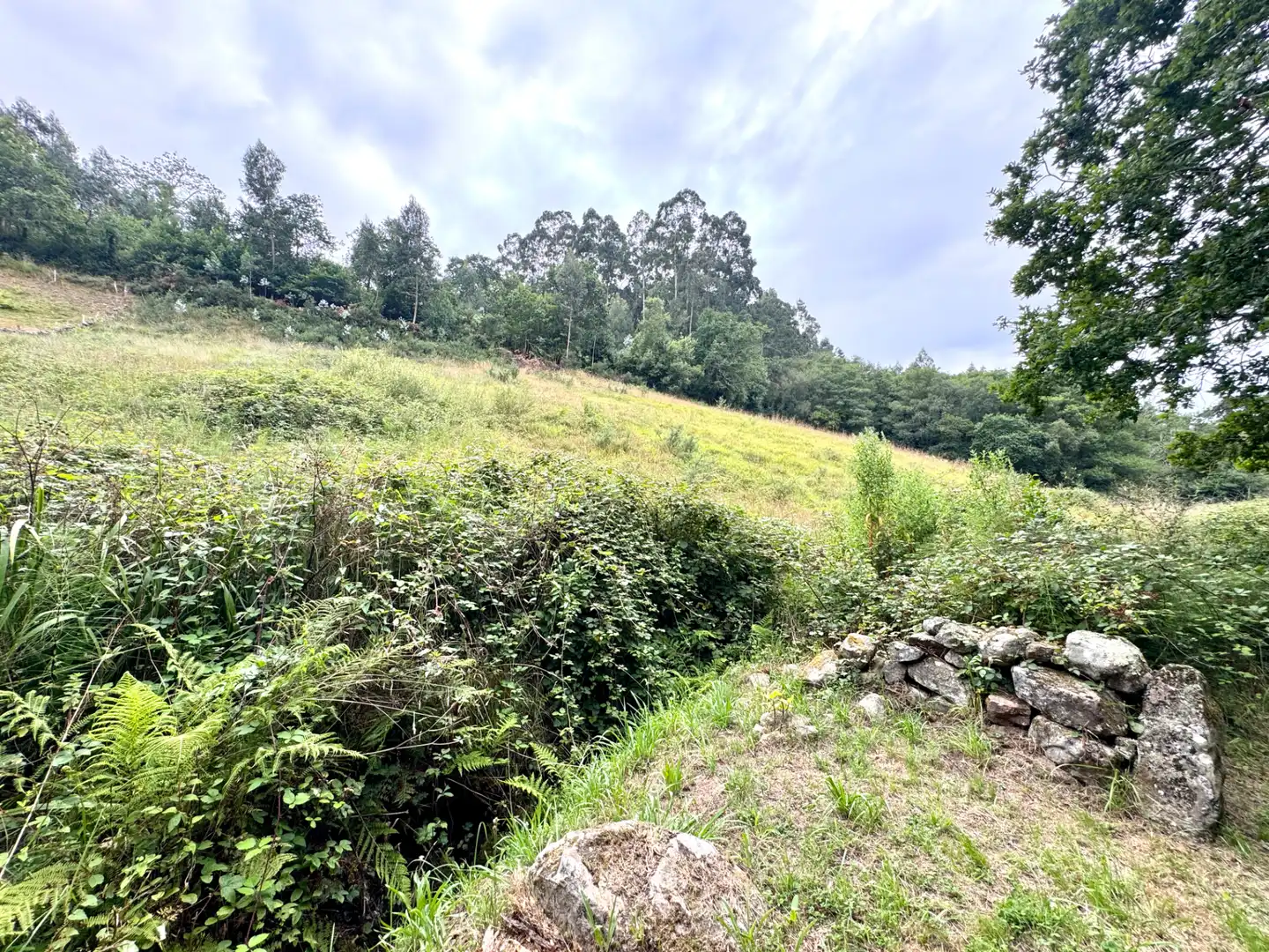 Terreno en venta en Villaviciosa