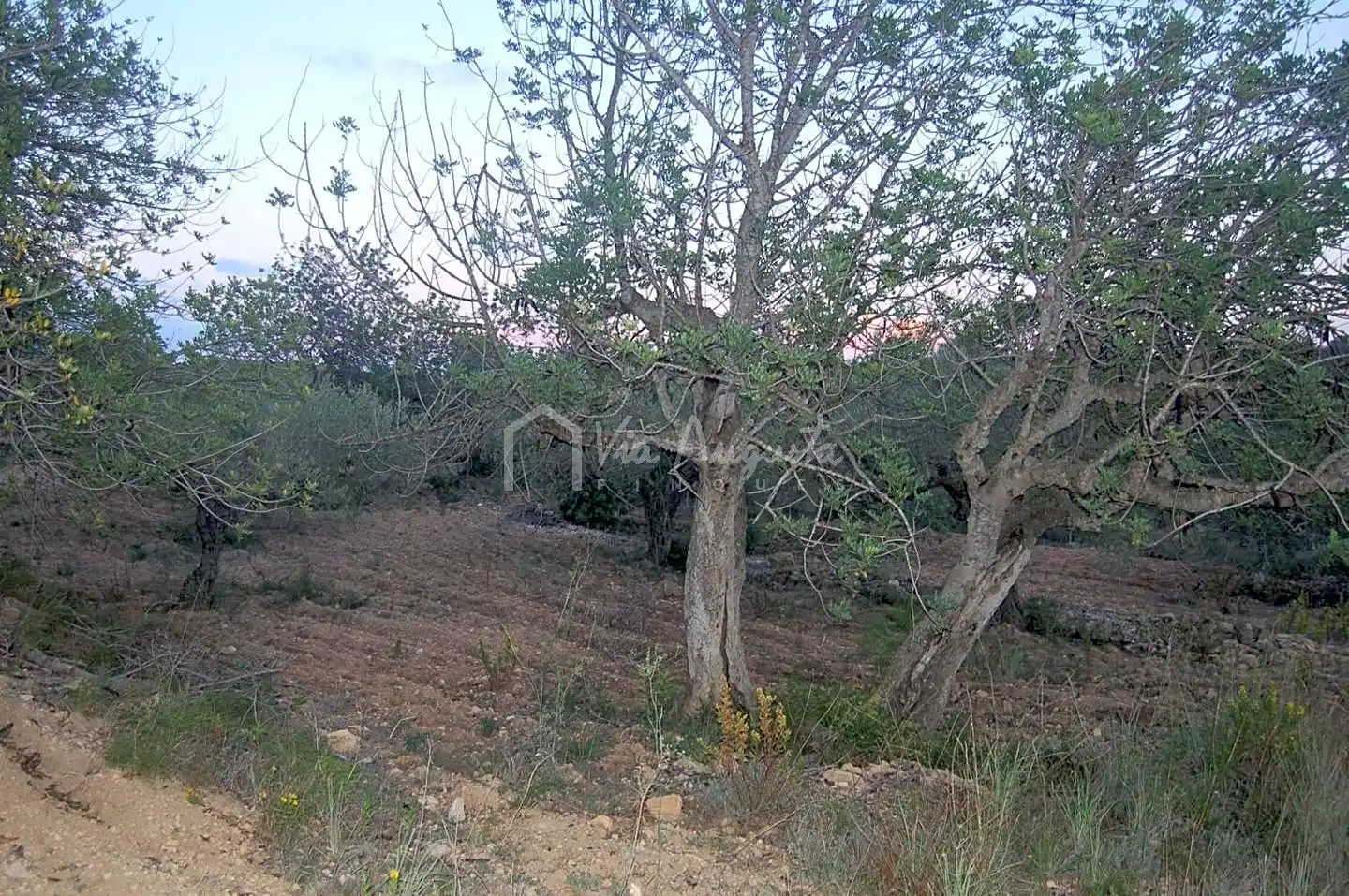 Terreno rustico in vendita a Suis, imagen 6