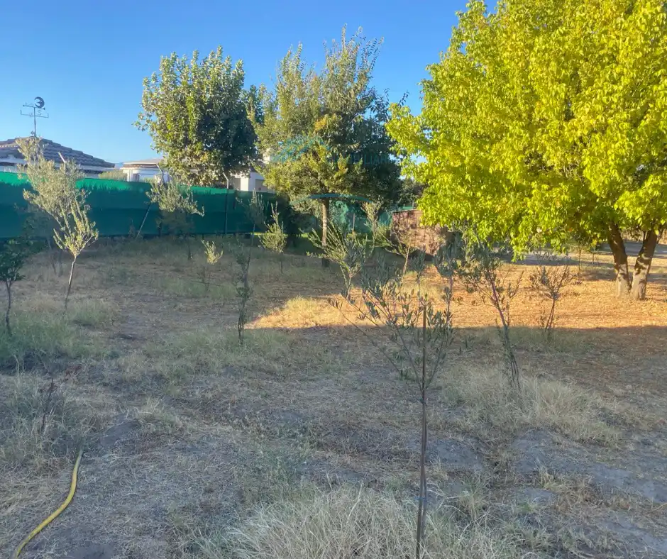 Country homes for sale in Saucedilla  with Air Conditioner, Storage room and Furnished