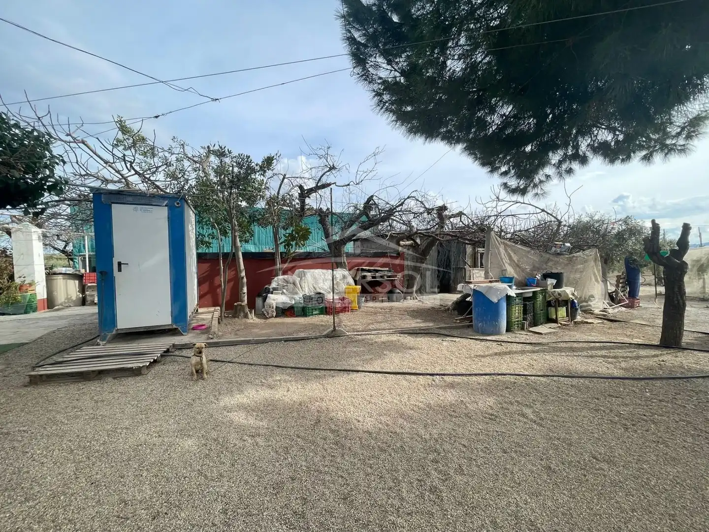 Terreno en venta en Uleila del Campo