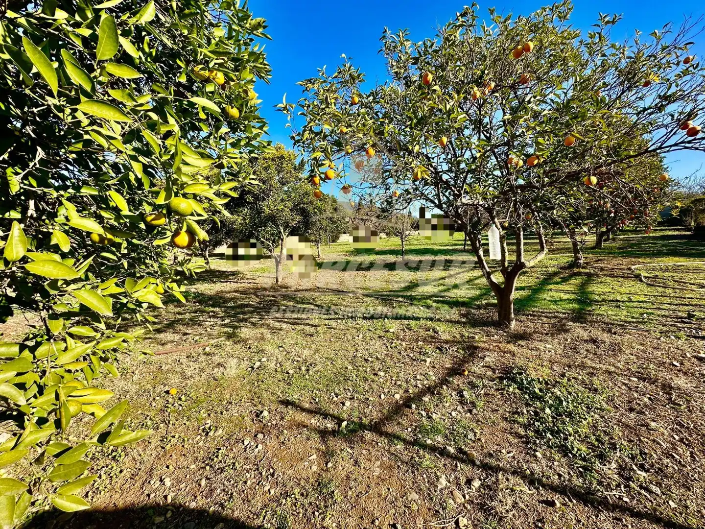 Terreny residencial en venda a Periurbano Oeste - Sierra, imagen 2