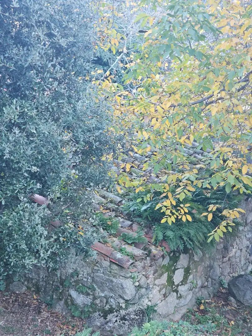 Casa rústica amb jardí en venda a Riells i Viabrea, imagen 42