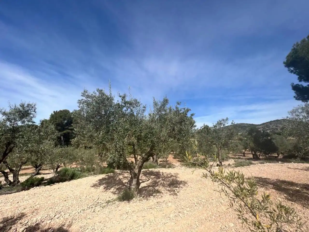 Chalet con jardín en venta en Calle Poligono, imagen 130