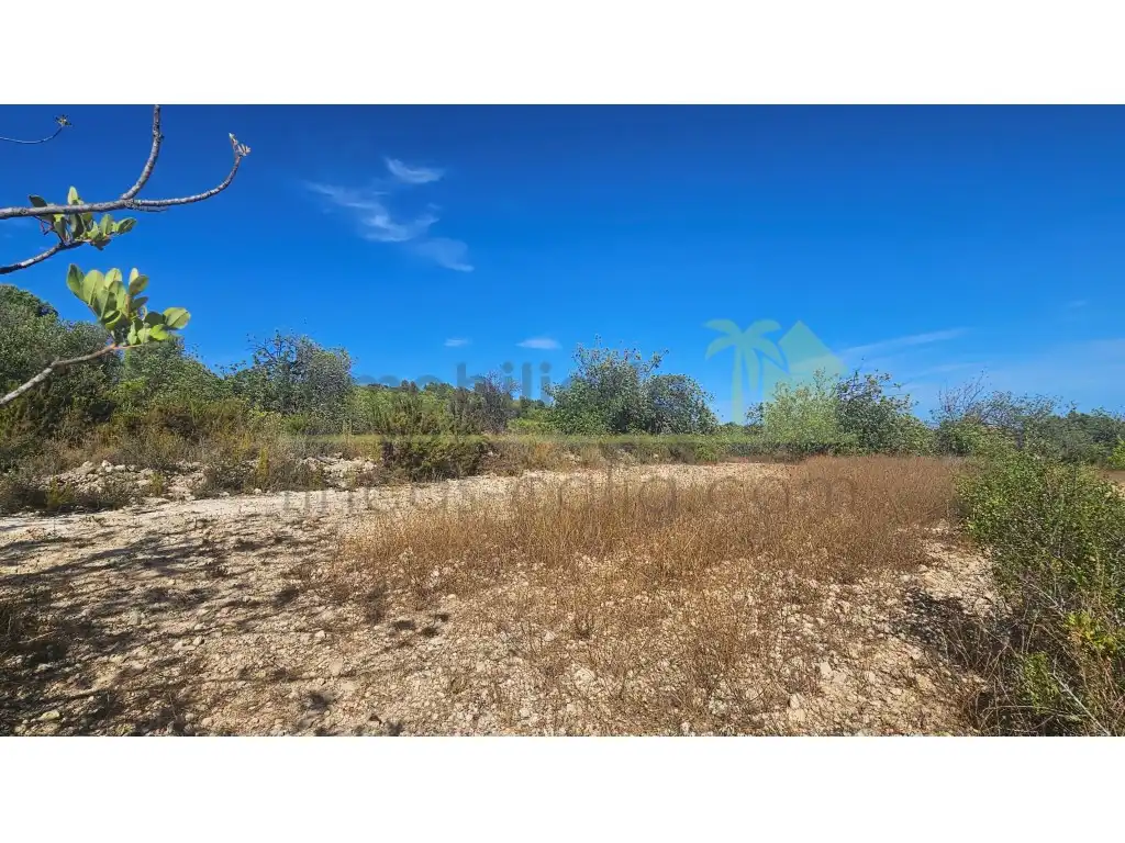 Rural land for sale in Poligono 37 Paraje 351 T Cerver, imagen 12