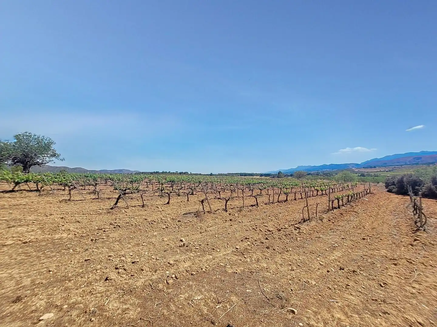 Land for sale in Ontinyent