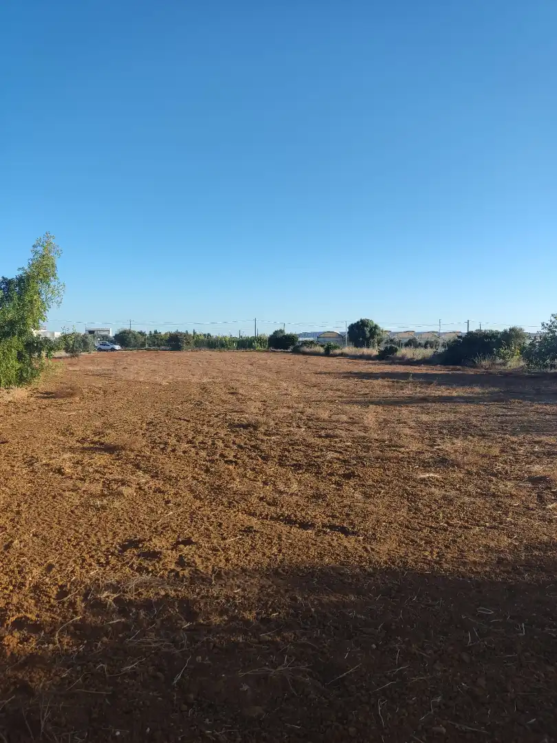 Land for sale in Conil de la Frontera