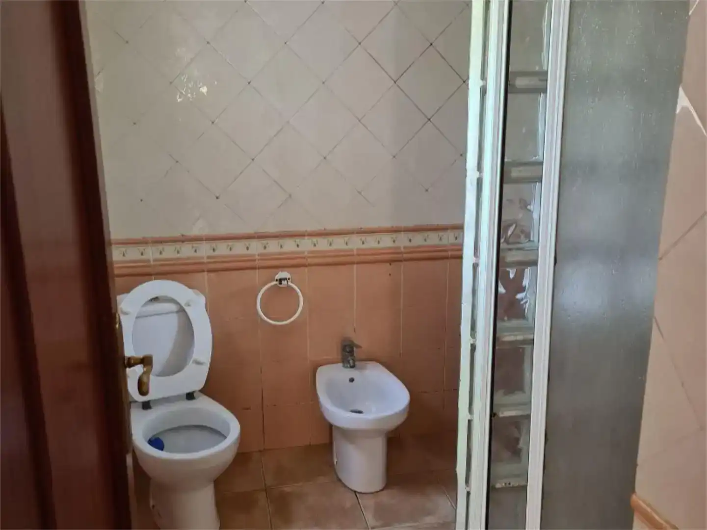 Baño de Casa o chalet en venta en Molina de Segura con Balcón