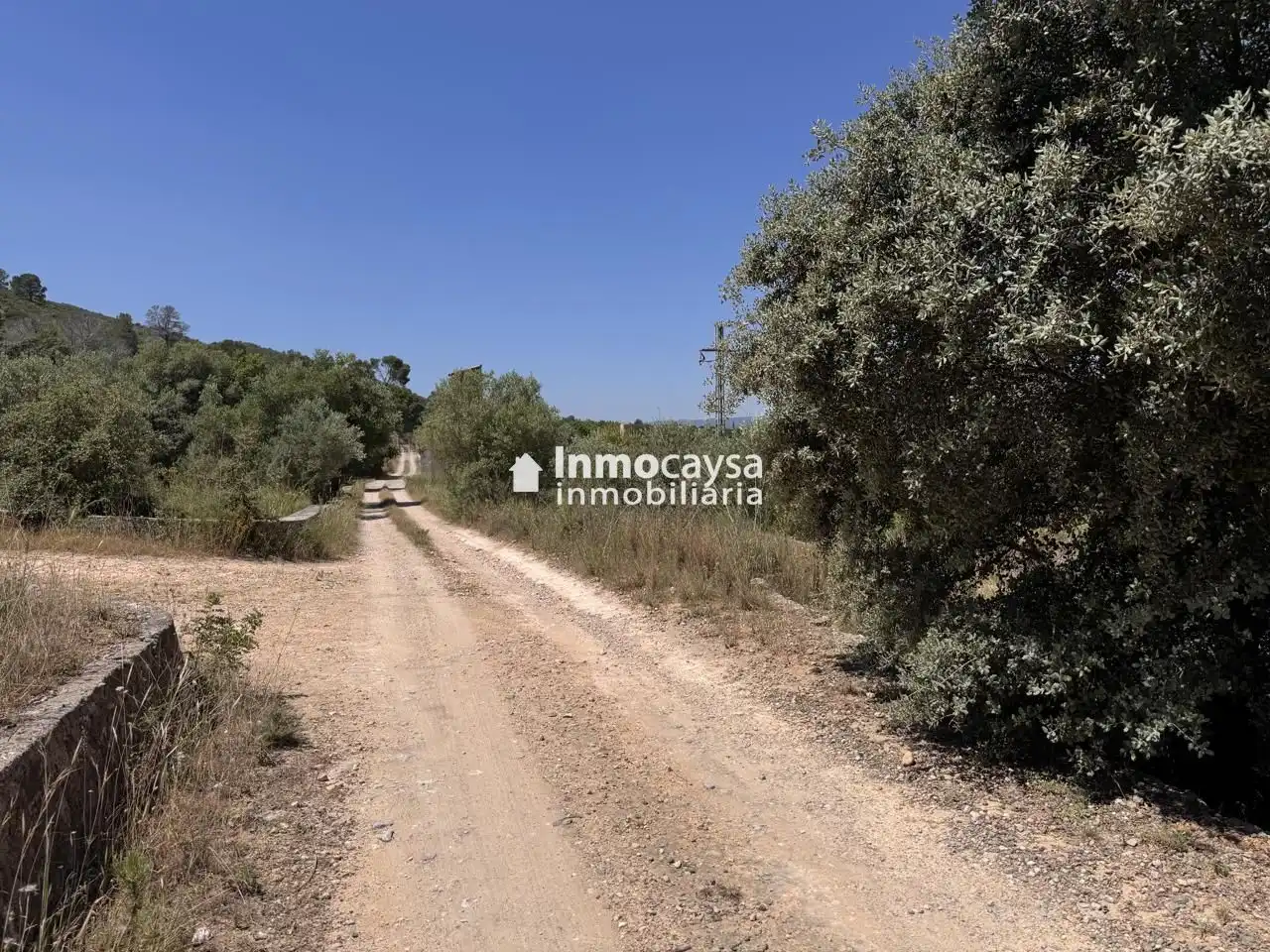 Terreno en venta en Montesa