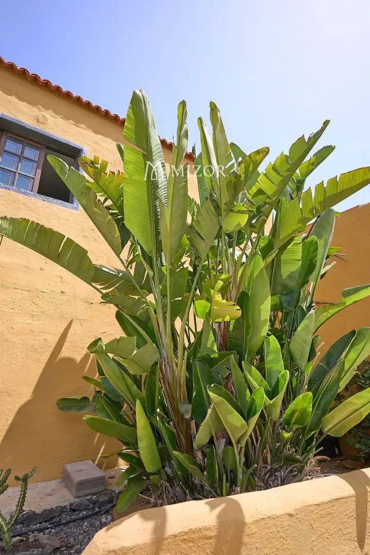 Casa en venta en subida de Vera de Erques, imagen 32