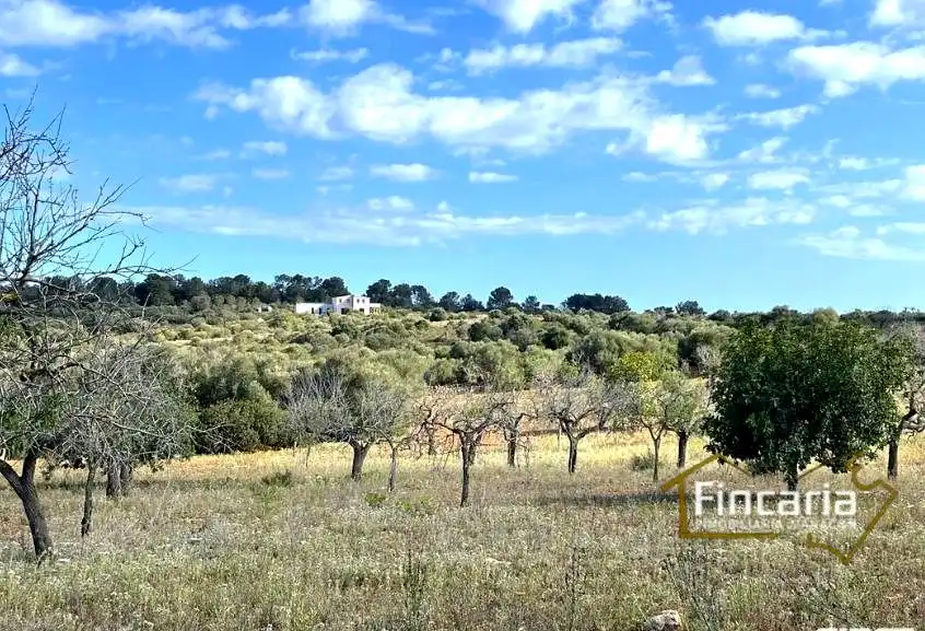 Residential for sale in Manacor