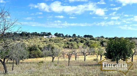 Photo 3 of Residential for sale in Ma-4014, Manacor Centre, Manacor