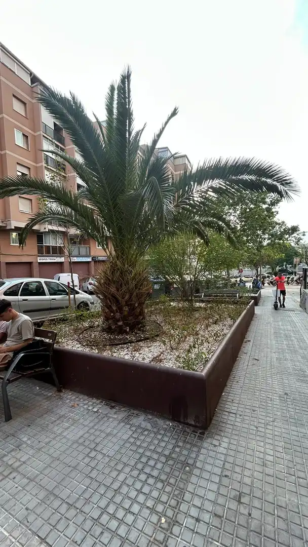 Terrassa de Pis de lloguer en Sant Feliu de Llobregat amb Aire condicionat, Calefacció i Terrassa