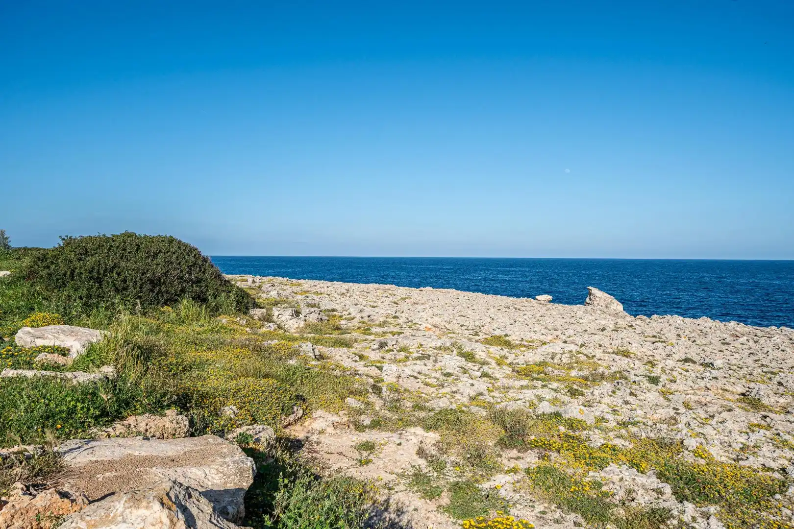 Houses for sale in Manacor
