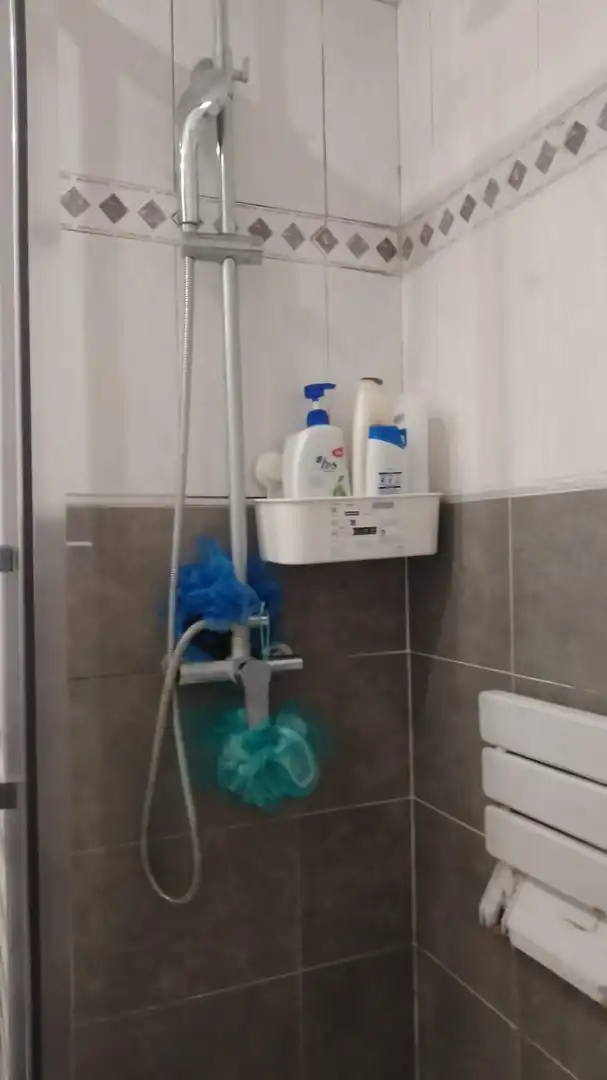 Baño de Planta baja en venta en Massamagrell