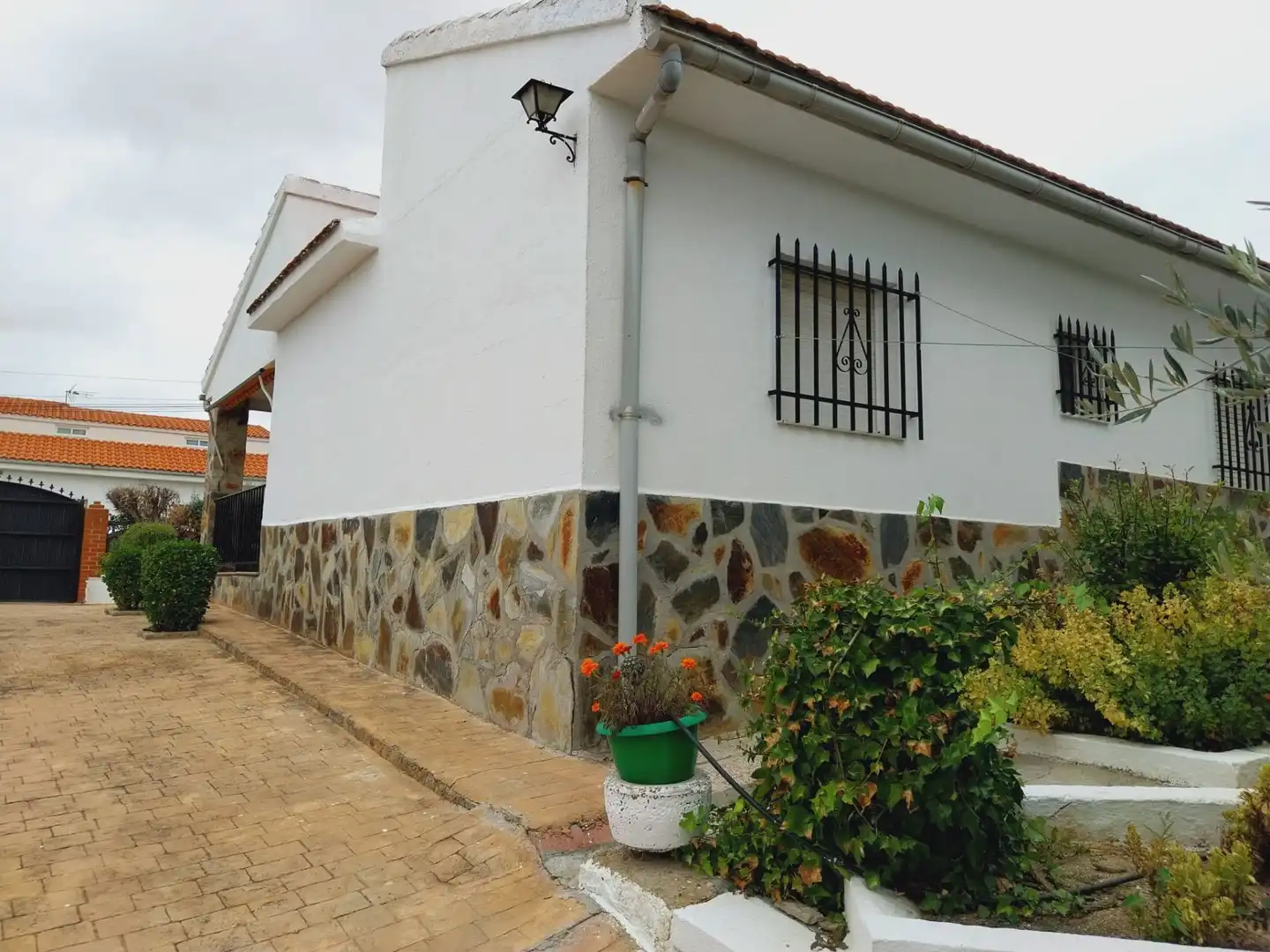 Vista exterior de Casa o chalet en venta en Cedillo del Condado