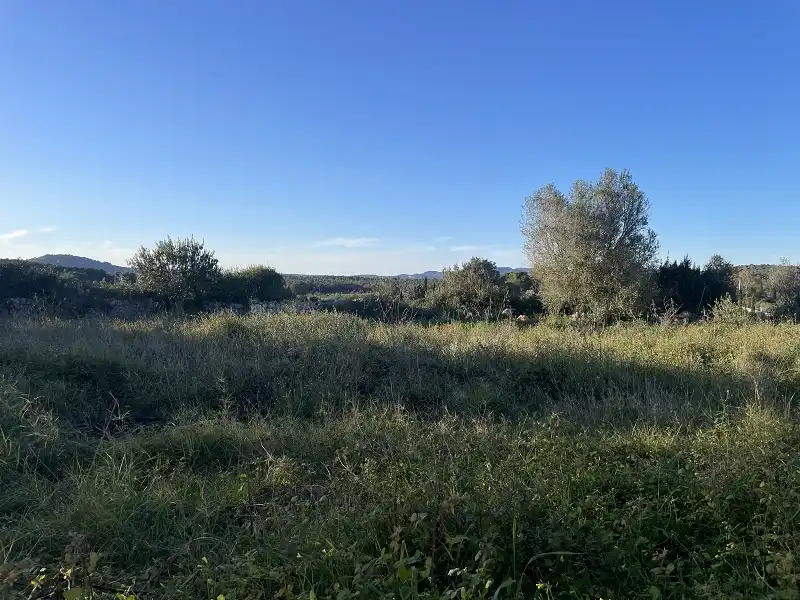 Finca rústica en venda en Manacor