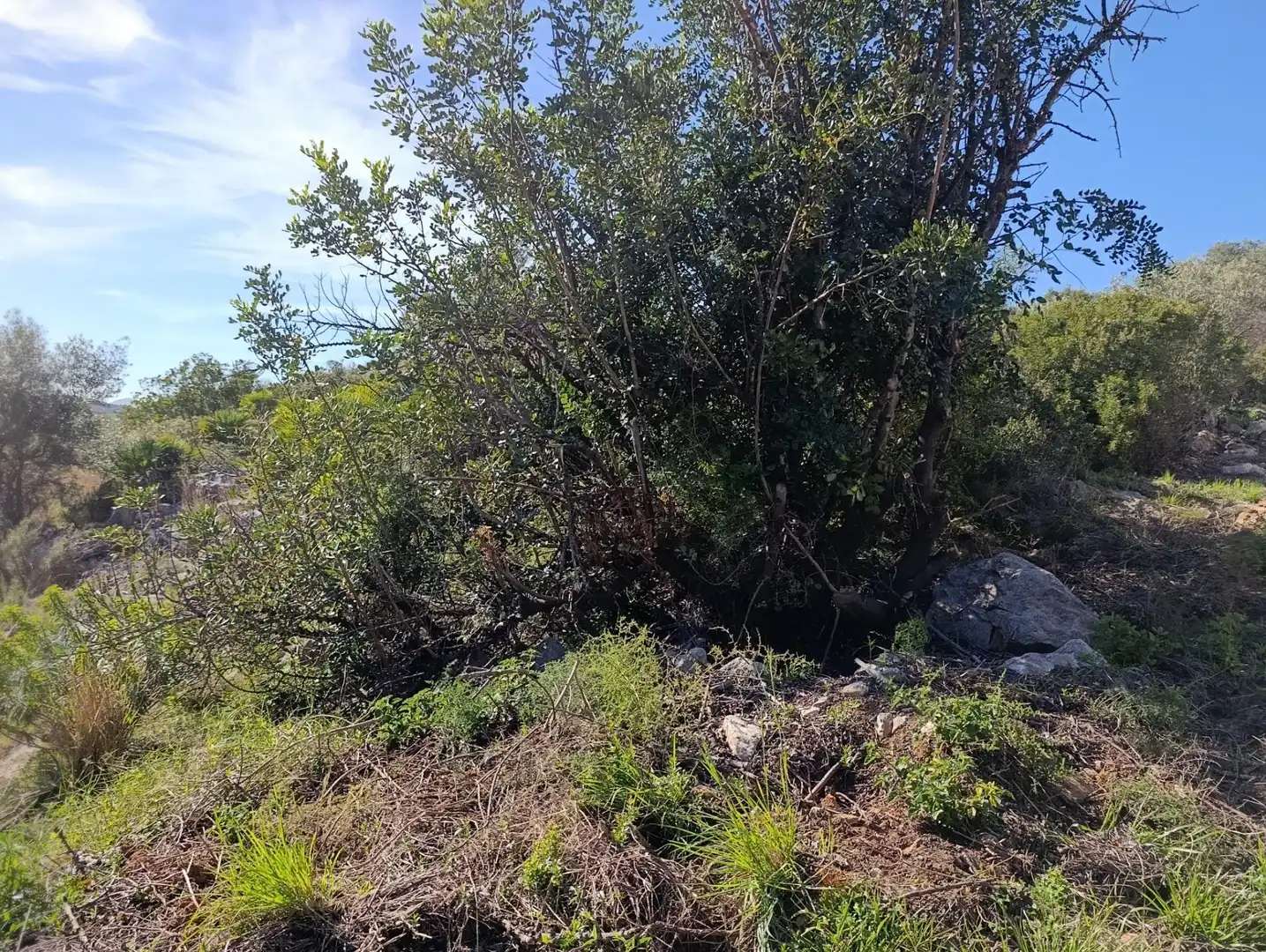 Wohnbaugrundstück zum Verkauf in El Ràfol d'Almúnia, imagen 4
