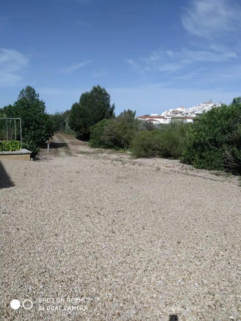 Terreny rústic en venda a Arcos de la Frontera, imagen 15