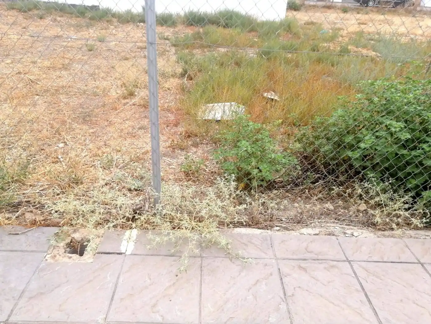 Terrenys i solars en venda a El Carpio, imagen 3