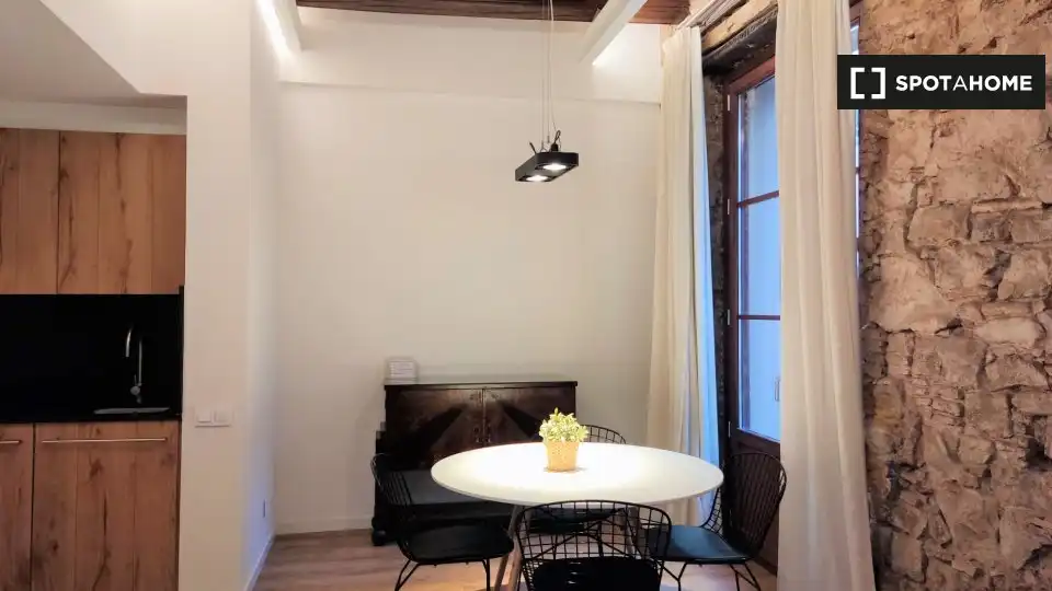 Appartamento con terrazza in affitto a Ciutat Vella, imagen 18