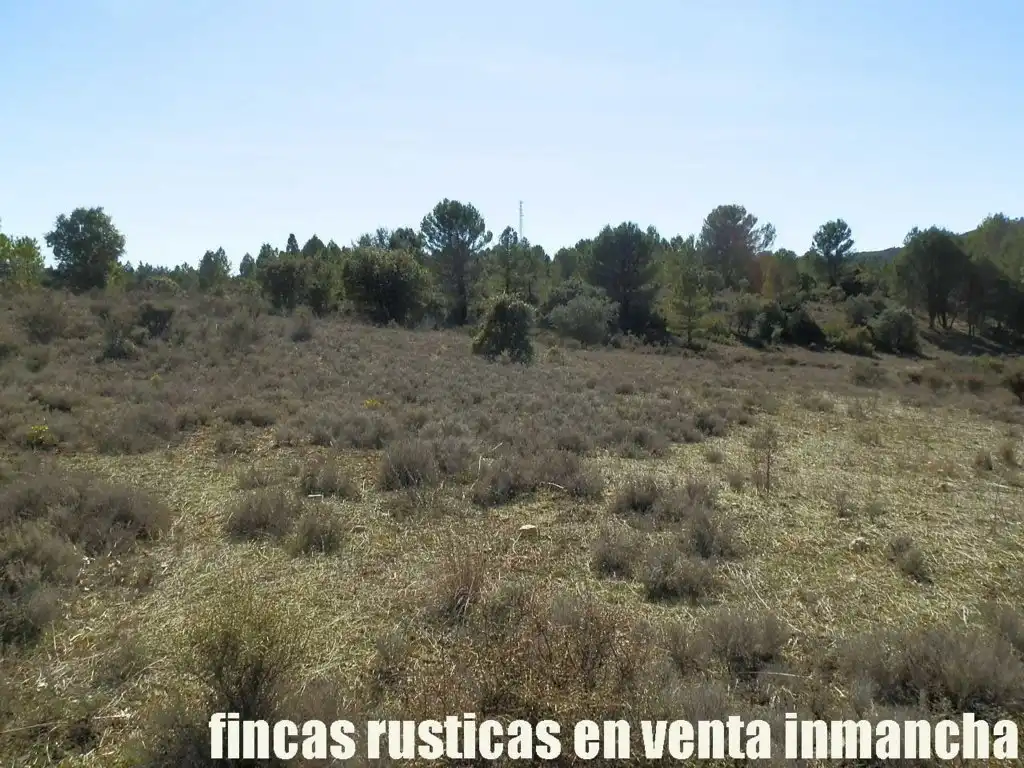 Land for sale in Valdeolivas