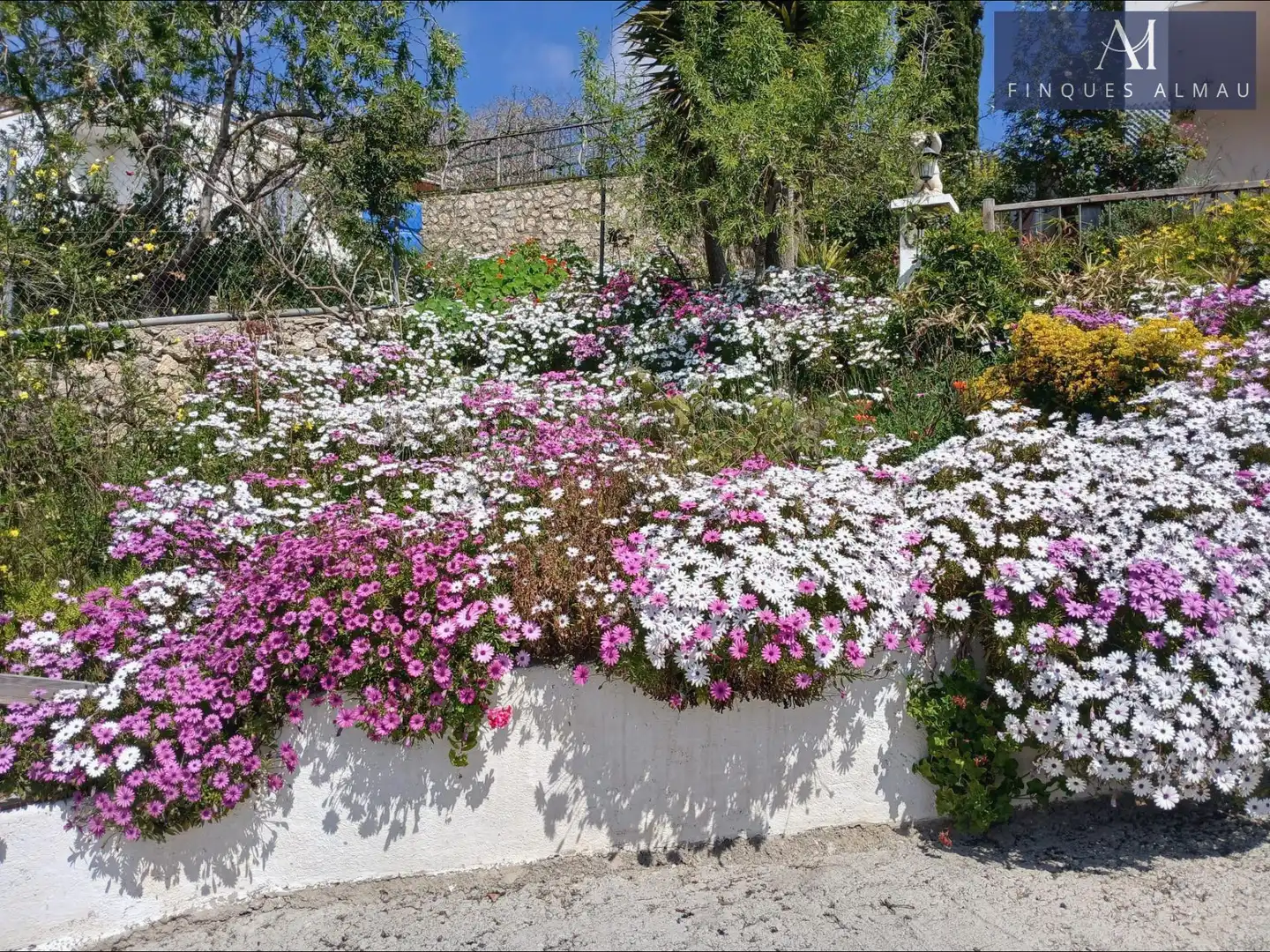 Haus mit Garten zum Verkauf in TRENCAPINYES DEL(C.SURIA), imagen 5