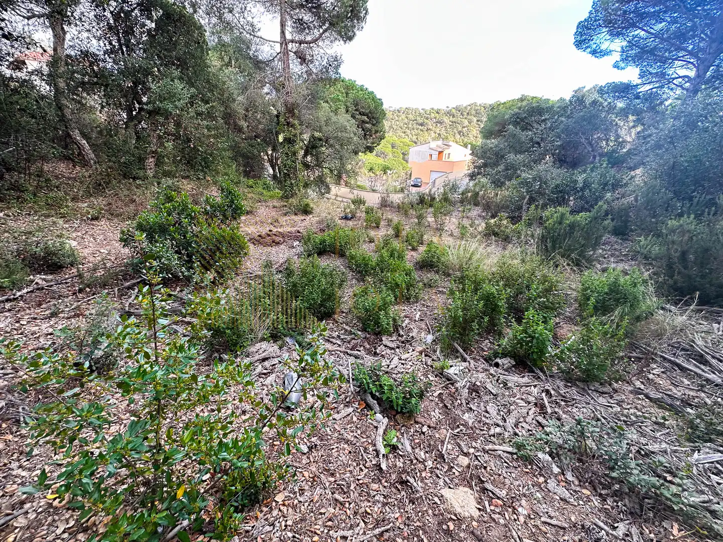Wohnbaugrundstück zum Verkauf in Carrer de les Alzines 30, imagen 7