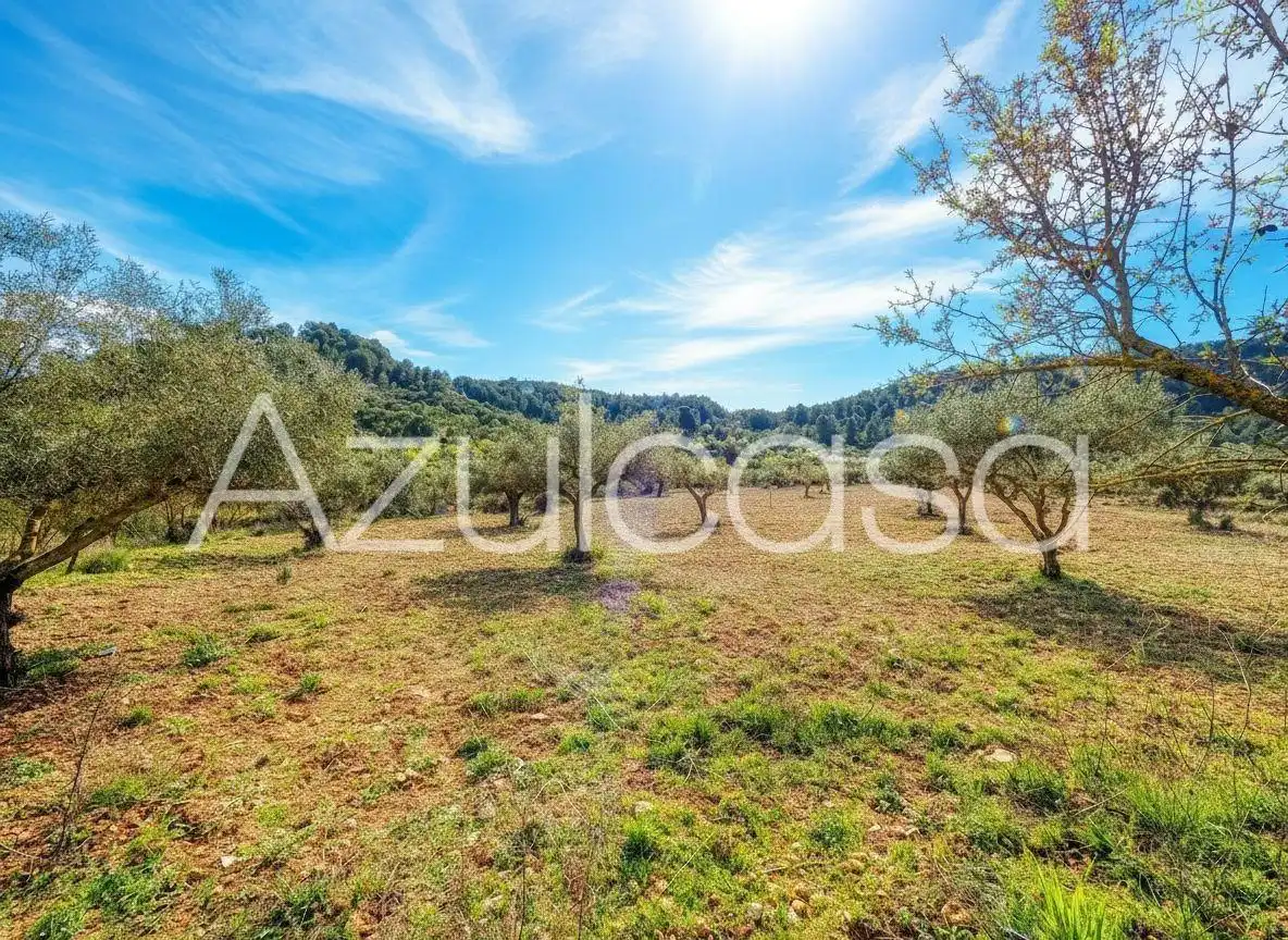 Country homes for sale in Banyeres de Mariola