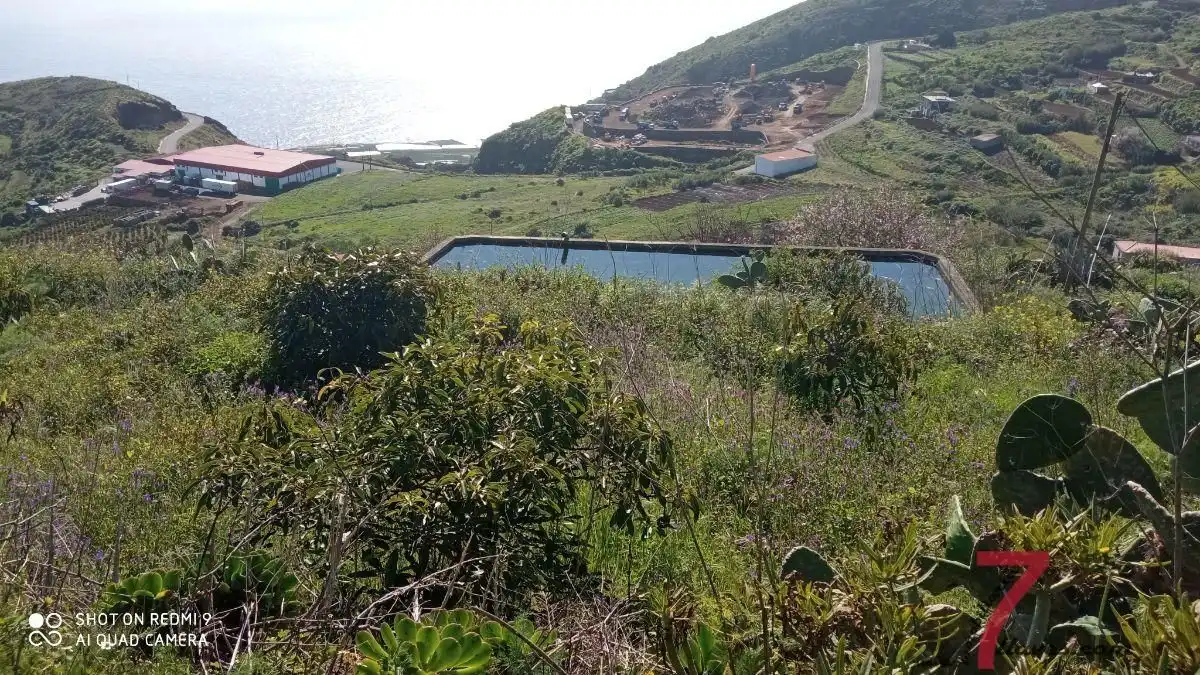 Vista exterior de Finca rústica en venda en Puntallana