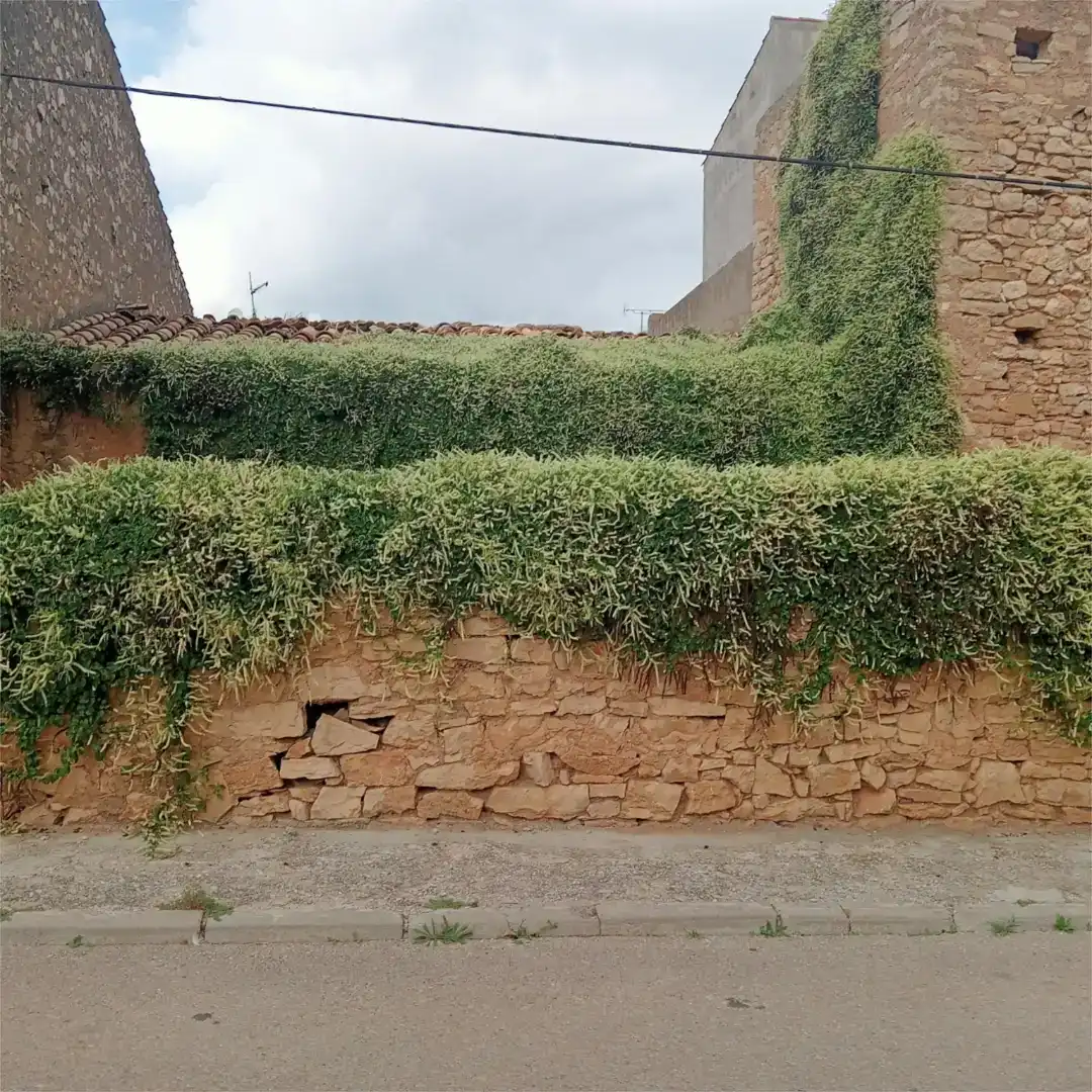 Casa o xalet en venda en Tírig