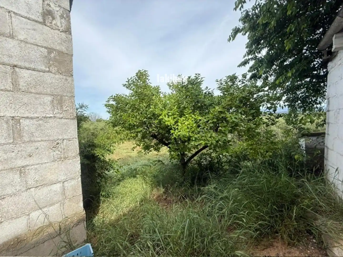 Casa en venda a Afores, imagen 2