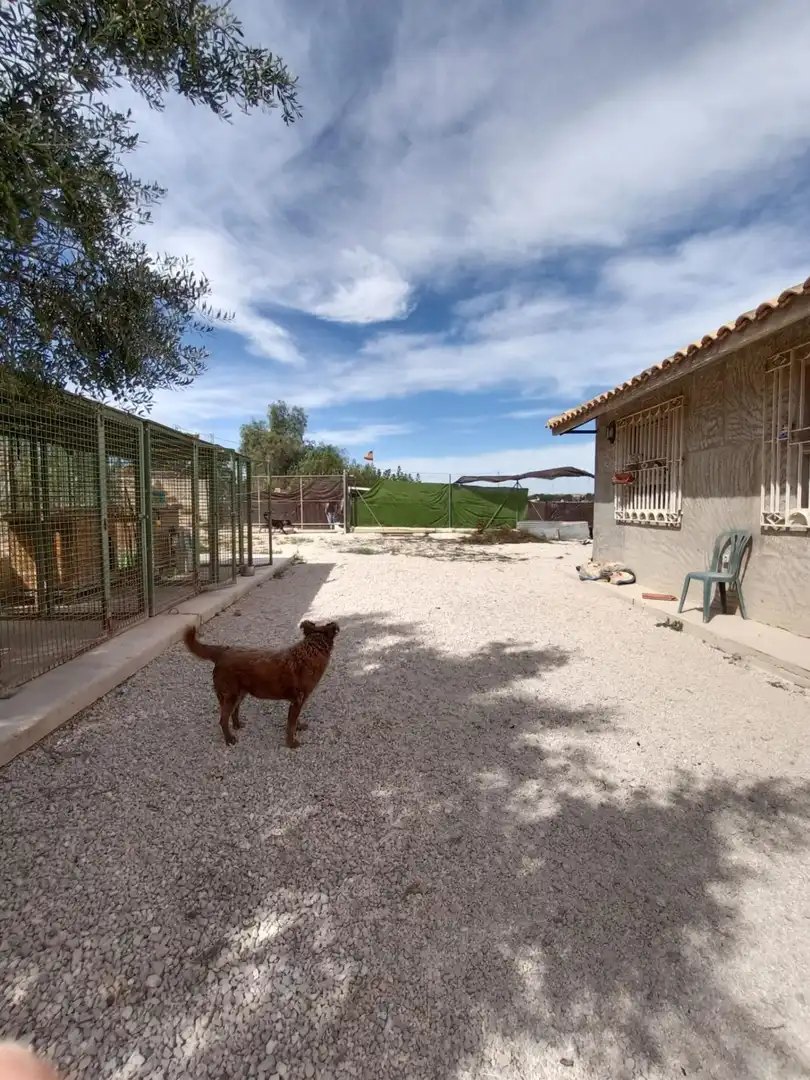 Vista exterior de Finca rústica en venda en Molina de Segura amb Aire condicionat, Calefacció i Piscina