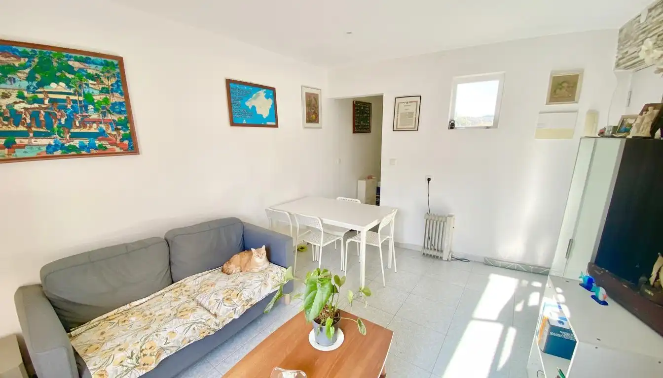 Living room of Flat for sale in  Palma de Mallorca  with Terrace, Storage room and Furnished